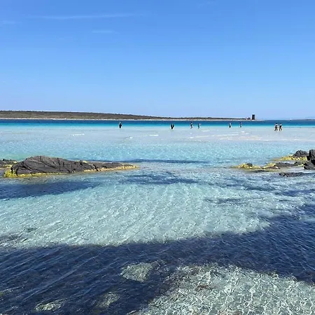 I Pescatori Di Stelle-l12 Altair Stintino