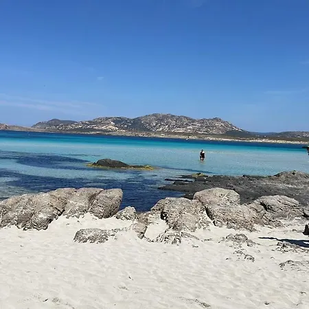 I Pescatori Di Stelle-l12 Altair * Stintino